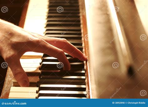 Piano Hands stock photo. Image of fingers, musical, entertainer - 3892898