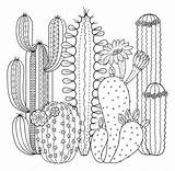 Cactus Coloring Pages  100 To Print For Free sketch template