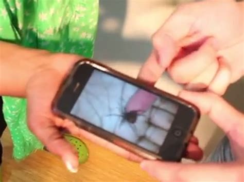 Video: Spider prank | The Independent | The Independent