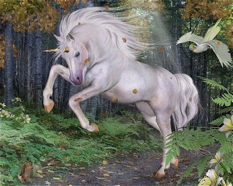 HD wallpaper: Unicorn | Wallpaper Flare