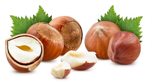 Chestnuts Vs Hazelnuts - Foods Guy