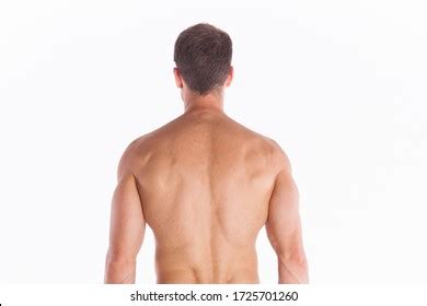 Muscular Back Sportive Man On White Stock Photo 1725701260 | Shutterstock