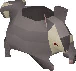 Black chinchompa (Hunter) | Old School RuneScape Wiki | Fandom