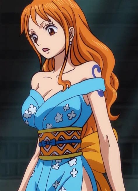 Nami Long Hair - Long Hair