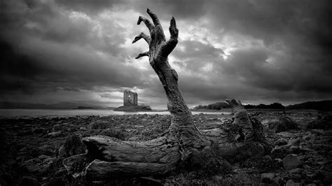 Free download nature black white zombie hand wallpaper 1 Raymond Severt MD [1800x1012] for your ...