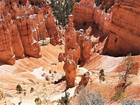 Navajo Loop and Queen's Garden Trail Combination • Roaming Spices