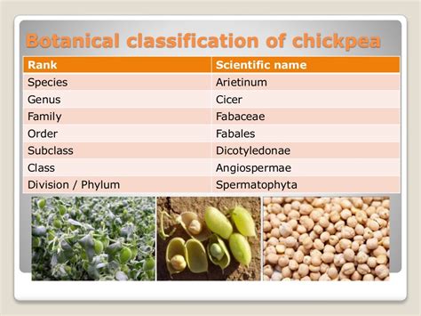 Classification of field crops