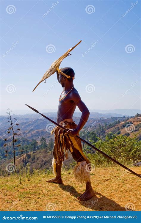 Zulu warrior editorial stock photo. Image of ethnic, grass - 6035508