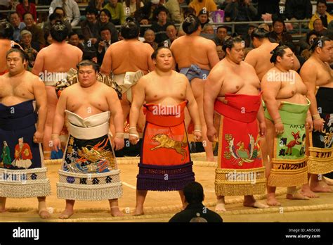 Sumo wrestlers in traditional colourful ceremonial costumes attend Stock Photo: 1399909 - Alamy