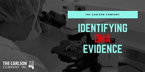 DNA Evidence - How Identifying Evidence with DNA Analysis