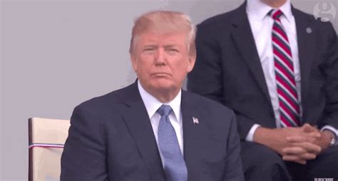 The Best GIFs of Trump Enduring a Daft Punk Cover Band | Inverse