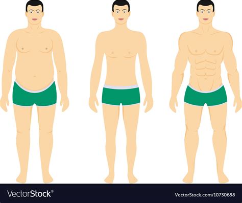 Before and after diet weight loss Royalty Free Vector Image