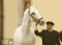 Neigh Horse GIF - Neigh Horse Im Coming - Discover & Share GIFs