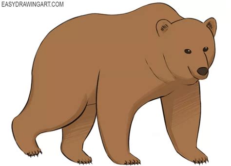 How to Draw a Bear - Easy Drawing Art