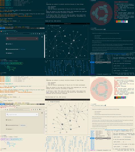 [i3] Dark Mode & Light Mode w/ a hotkey to switch : r/unixporn