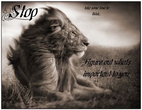 Lion And Lioness Strong Quotes. QuotesGram