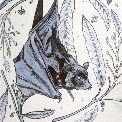 Pin by Kelsey Clifton on Tattoos | Bat art, Animal sketches, Animal art