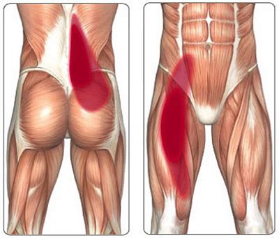 Hip Injuries Iliopsoas tendinitis pain in the hip