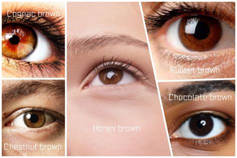 What's Unique about Brown Eyes? Where Are They Common? - TTDEYE