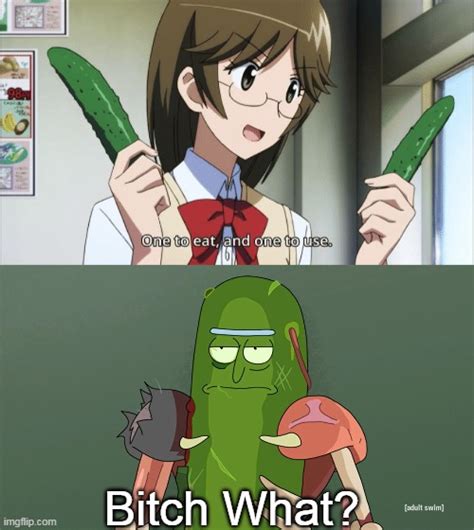 pickle rick Memes & GIFs - Imgflip