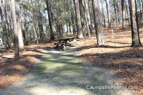 Little Pee Dee State Park - Campsite Photos, Camp Info & Reservations