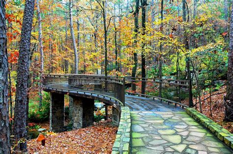 Millsap Canopy Bridge | Arkansas vacations, Arkansas travel, Hot springs village