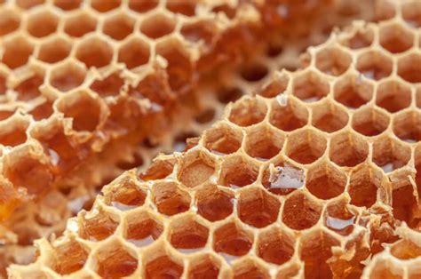 Honeycomb: One of Nature’s Most Beautiful and Useful Structures | LaptrinhX / News