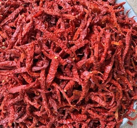 Byadgi Dried Red Chilli at Rs 210/kg | Bedgi Mirchi in Chennai | ID: 25934907033