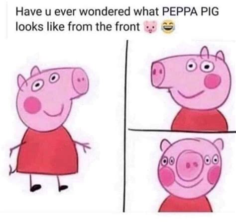So funny https://t.co/RgH4Skwu48 | Peppa pig memes, Pig memes, Peppa pig funny
