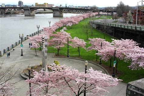 Tom McCall Waterfront Park, Portland