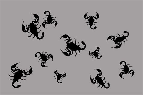 Scorpions Free Stock Photo - Public Domain Pictures