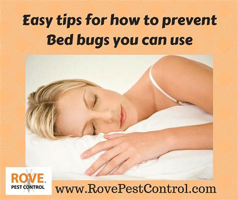 Easy tips for how to prevent bed bugs you can use - Rove Pest Control