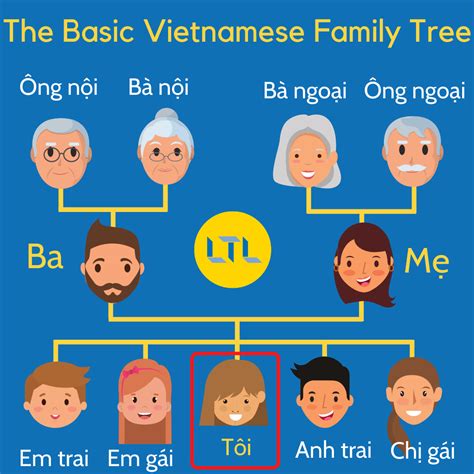 The Basic Vietnamese Family Tree : VietNam