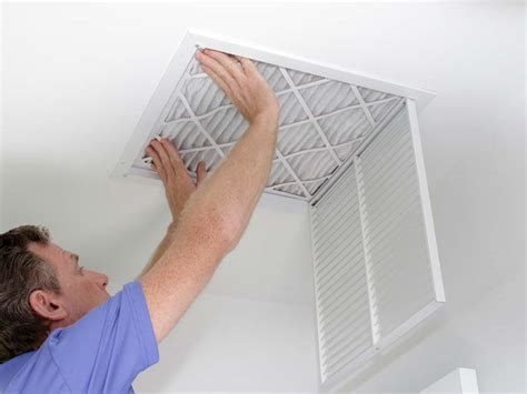 What Are the Best Air Filters for Allergies?