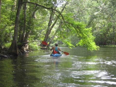 Ocklawaha River, FL Paddling, Kayak, Canoe. E-Z Map, 25+ Photos.