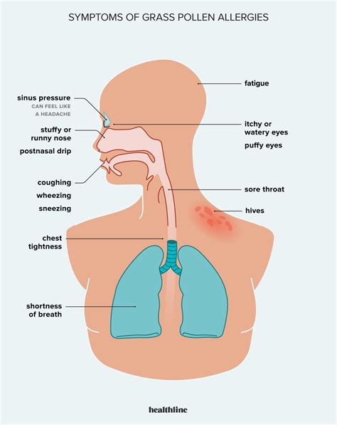 Grass Pollen Allergy Symptoms and How to Manage Them