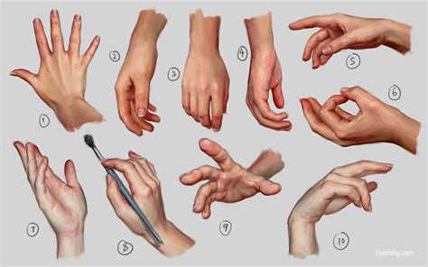 Human Anatomy Of Hands - Anatomical Charts & Posters