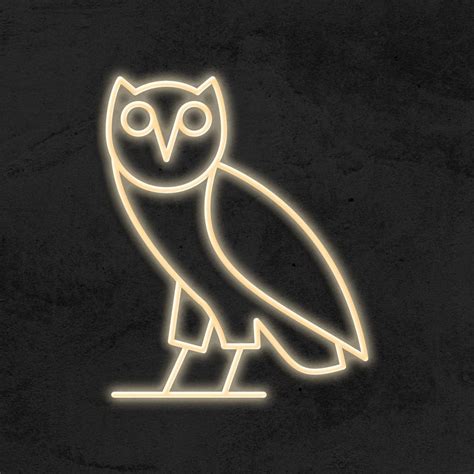 OVO Drake - Néon LED - La Maison Du Neon