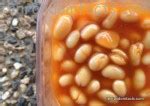 Baked Beans - Ten Random Facts