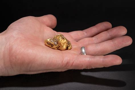 Largest gold nugget found in Scotland in over 400 years goes on display ...