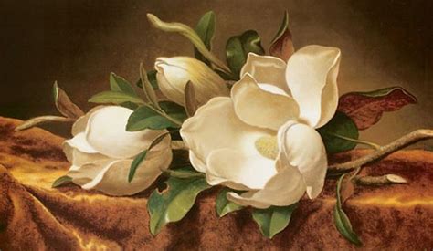 Martin Johnson Heade "Magnolias on Gold Velvet Cloth" c. 1888-90 | Martin johnson heade, Martin ...