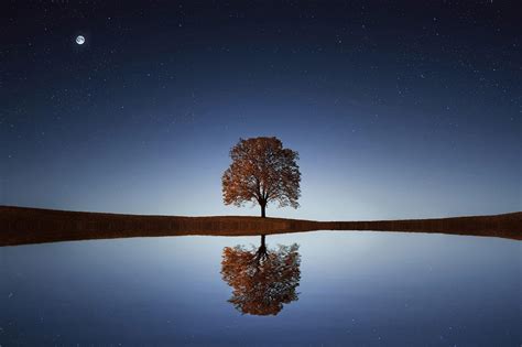 Lonely Tree Wallpapers - Wallpaper Cave