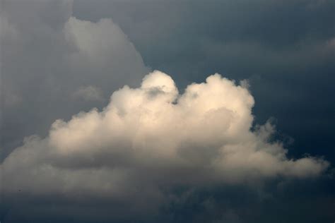 White Cloud With Flat Base Free Stock Photo - Public Domain Pictures