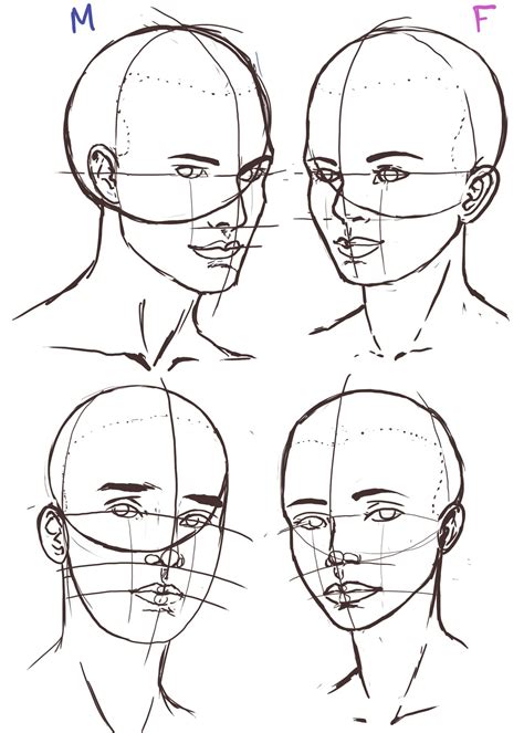 Drawing Heads, Human Drawing, Painting & Drawing, Body Drawing, Face Drawing Reference, Art ...