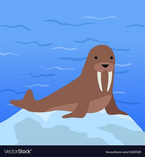 Funny walrus Royalty Free Vector Image - VectorStock