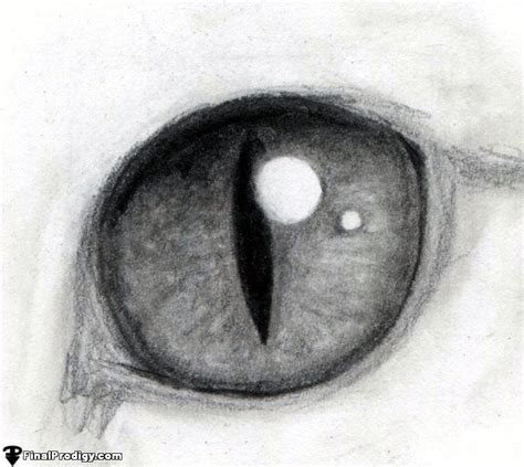 How to Draw a Cat Eye - FinalProdigy.com | Cat eyes drawing, Eye art ...