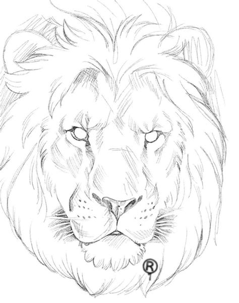 Pin by inkk_by_Gee on Dude tatts | Lion sketch, Art drawings sketches simple, Animal drawings ...