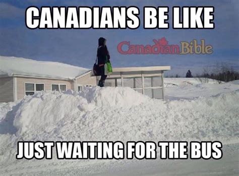 Pin by Susan Leslie McIntosh on Canada, Eh? | Canada funny, Canada memes, Canada jokes