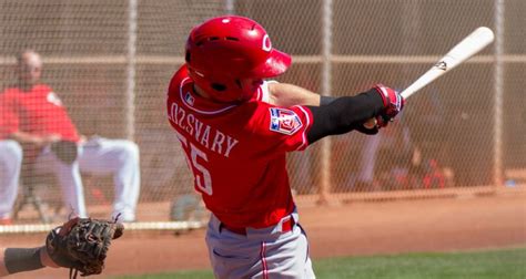 Cincinnati Reds Top Prospects: Mark Kolozsvary - redsminorleagues.com