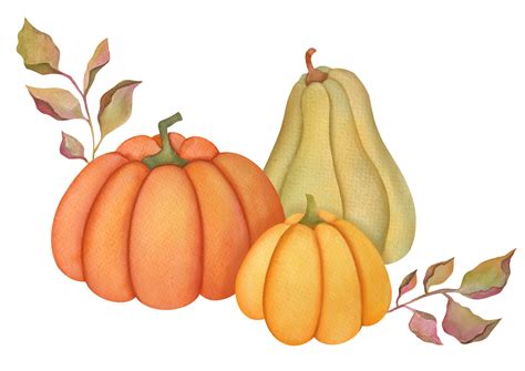 watercolor autumn pumpkins, leaves, Isolated on transparent background. horizontal Hand drawn ...